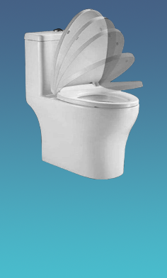 Klozet Kapakları